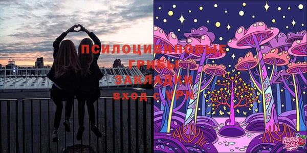 шишки Алзамай