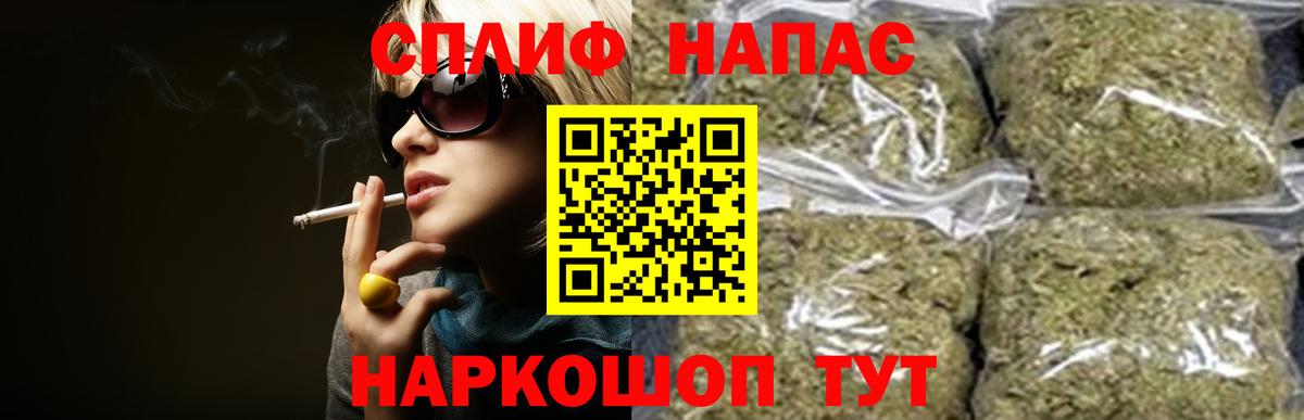 Конопля ГИДРОПОН Советский